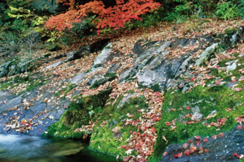 8fb011ad5af524335fe79762b96db192_1434362146_88.jpg 8fb011ad5af524335fe79762b96db192_1434362